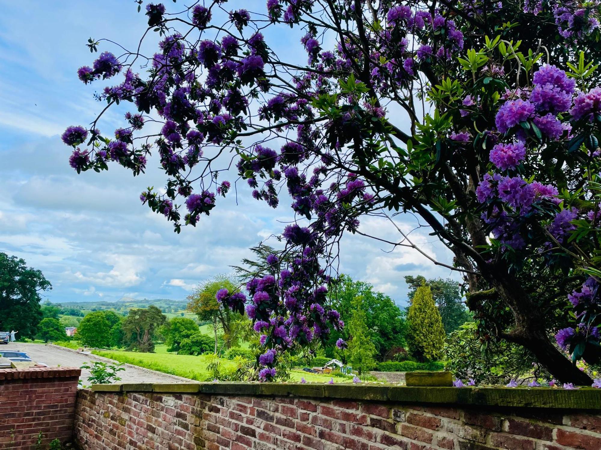 Apartment At Llanerchydol Hall Welshpool Luaran gambar